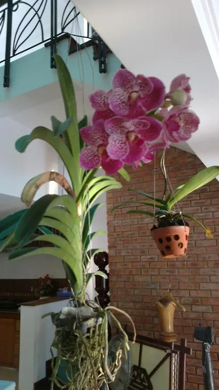 Flower Garden Homestay Hoi An